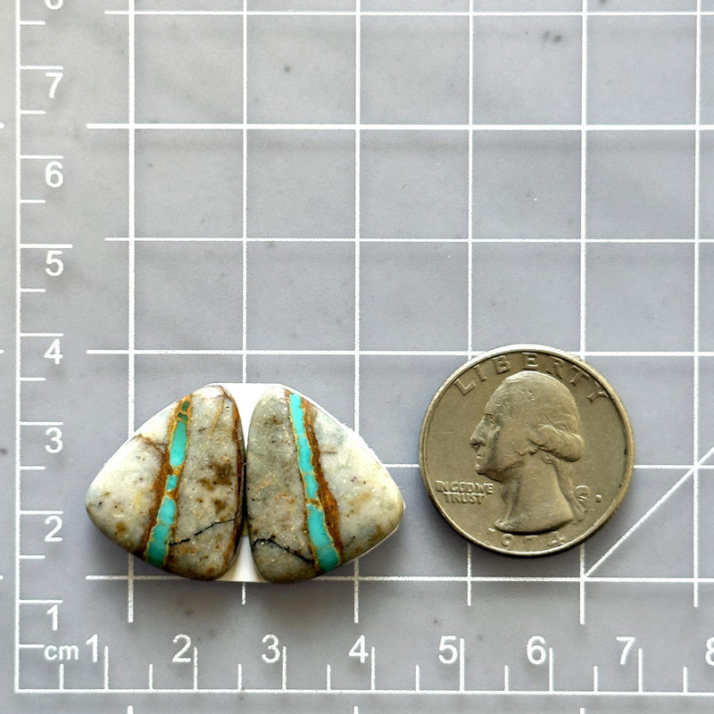 Large Sky Blue Freeform Royston Turquoise, Set of 2 Dimensions