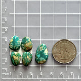 Small Deep Green Freeform Fox Turquoise, Set of 5 Dimensions