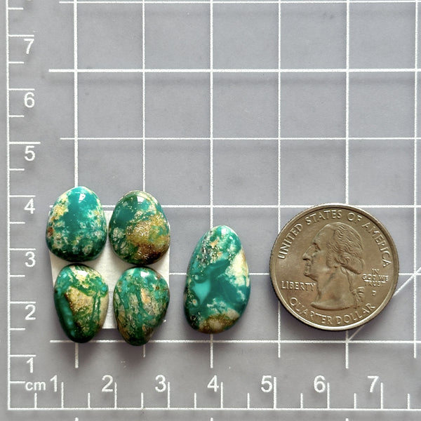 Small Deep Green Freeform Fox Turquoise, Set of 5 Dimensions