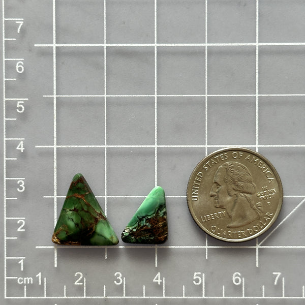 Small Sea Green Triangle Crescent Lake Variscite, Set of 2 Dimensions