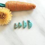 Small Sky Blue Freeform Namtso Lake Turquoise, Set of 4 Background