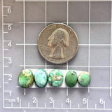 Small Mixed Mixed Crescent Lake Variscite, Set of 5 Dimensions