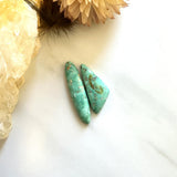 Medium Sea Green Mixed Crescent Lake Variscite, Set of 2 Background