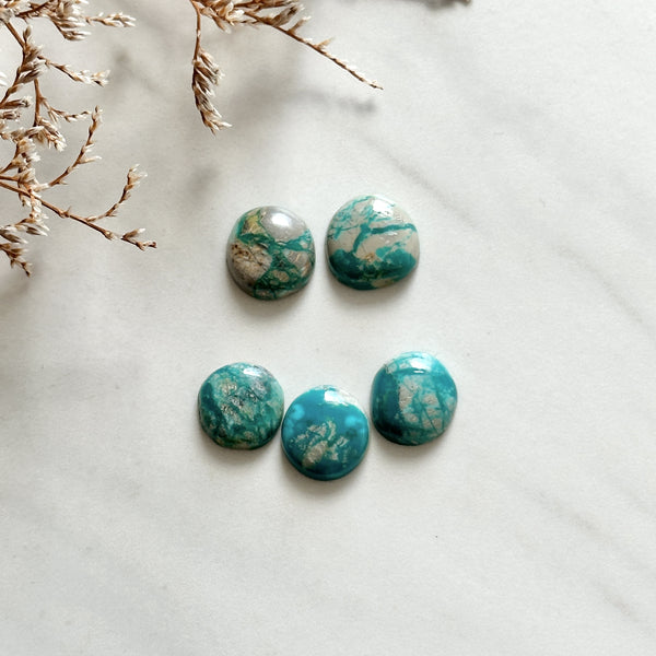Small Sky Blue Freeform Fox Turquoise, Set of 5 Background
