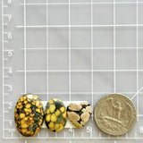 Medium Mixed Mixed Treasure Mountain Turquoise, Set of 3 Dimensions