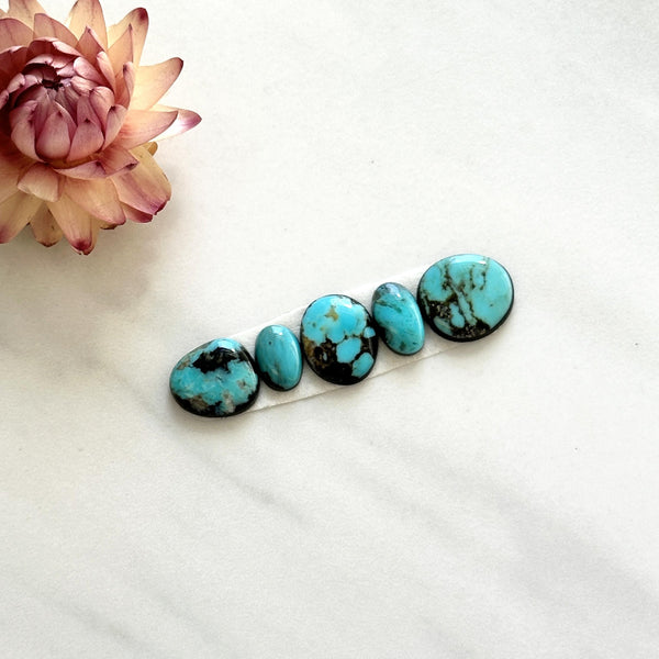 Small Sky Blue Freeform Blue Moon Turquoise, Set of 5 Background