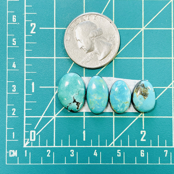 Small Sea Green Freeform Tyrone Turquoise, Set of 4 Dimensions
