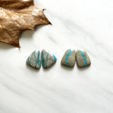 Medium Sky Blue Freeform Royston Turquoise, Set of 4 Background