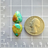 Small Sea Green Teardrop Royston Turquoise, Set of 2 Dimensions