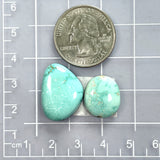 Medium Sky Blue Freeform Tyrone Turquoise, Set of 2 Dimensions