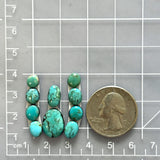 Small Mixed Mixed Kingman Turquoise, Set of 10 Dimensions