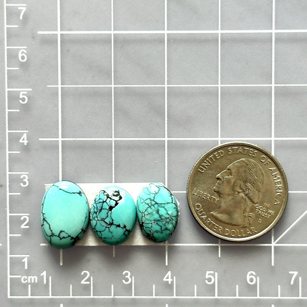 Small Sky Blue Mixed Kingman Turquoise, Set of 3 Dimensions