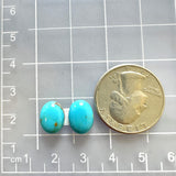 Small Sky Blue Freeform Kingman Turquoise, Set of 2 Dimensions