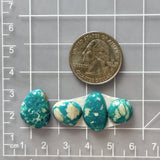 Small Mint Green Mixed Fox Turquoise, Set of 4 Dimensions
