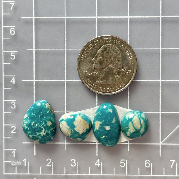 Small Mint Green Mixed Fox Turquoise, Set of 4 Dimensions