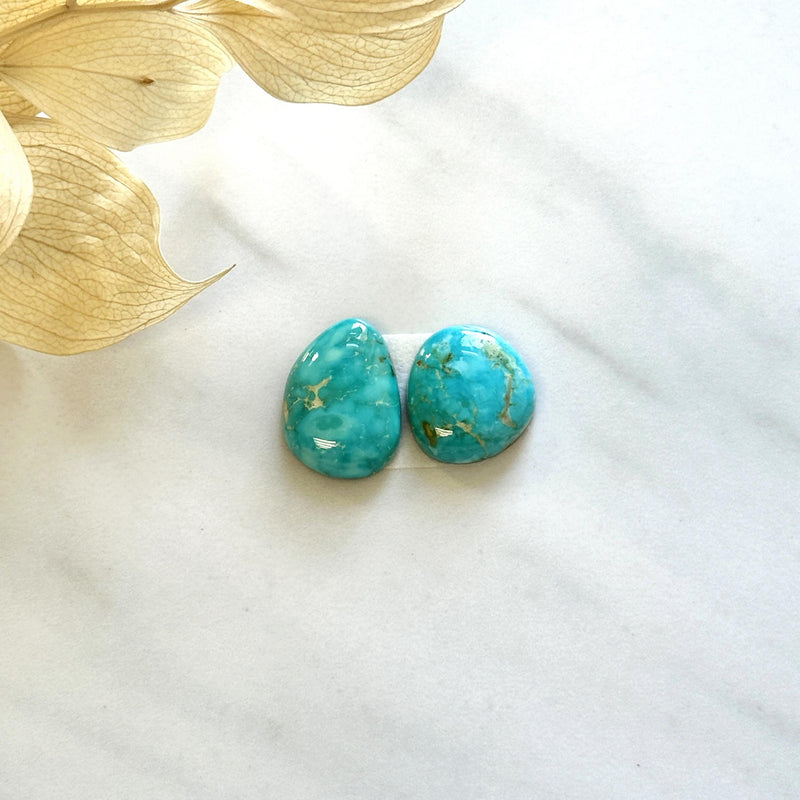 Small Sky Blue Freeform Royston Turquoise, Set of 2 Background