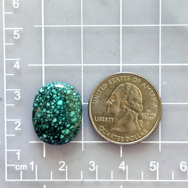 Large Ocean Blue Freeform Number 8 Turquoise Dimensions