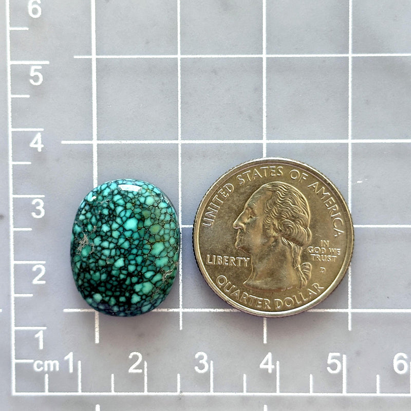 Large Ocean Blue Freeform Number 8 Turquoise Dimensions