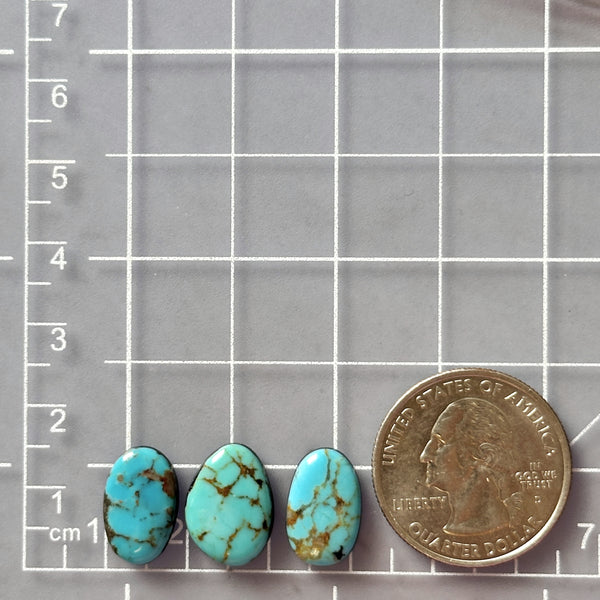 Small Sky Blue Mixed Pilot Mountain Turquoise, Set of 3 Dimensions