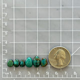 Small Sea Green Mixed Fox Turquoise, Set of 6 Dimensions