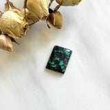 Large Mint Green Bar Bamboo Mountain Turquoise Background