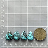 Medium Sky Blue Teardrop Yungai Turquoise, Set of 4 Dimensions