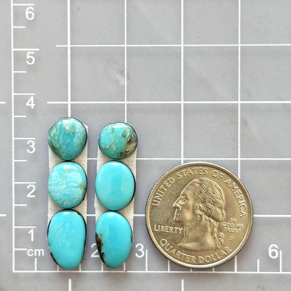 Small Sky Blue Freeform Kingman Turquoise, Set of 6 Dimensions