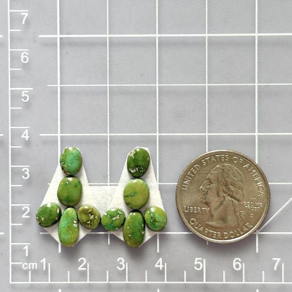 Small Lime Green Mixed Sonoran Gold Turquoise, Set of 10 Dimensions