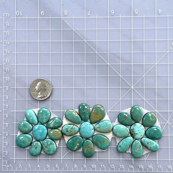 Small Mixed Mixed Tyrone Turquoise, Set of 27 Dimensions