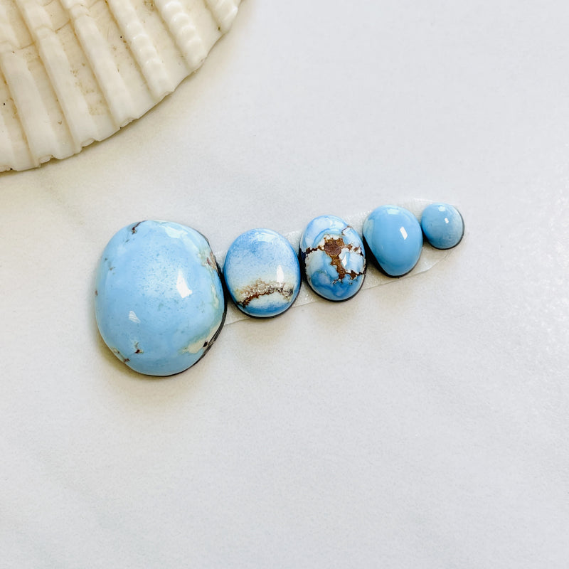 Small Sky Blue Freeform Golden Hills Turquoise, Set of 5 Background