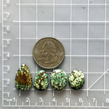 Medium Sea Green Mixed Treasure Mountain Turquoise, Set of 4 Dimensions