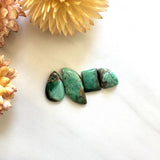 Small Mint Green Mixed Crescent Lake Variscite, Set of 4 Background