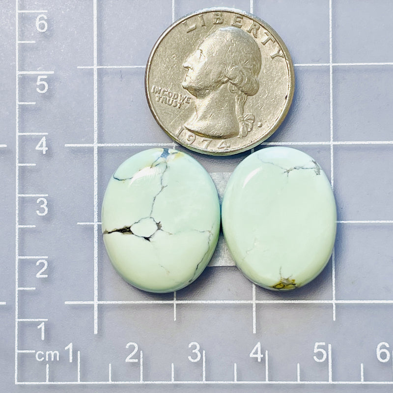 Large Faint Green Oval Lone Mountain Turquoise, Set of 2 Dimensions