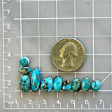 Small Sky Blue Mixed Morenci Turquoise, Set of 10 Dimensions