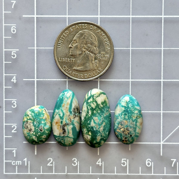 Medium Deep Green Mixed Fox Turquoise, Set of 4 Dimensions