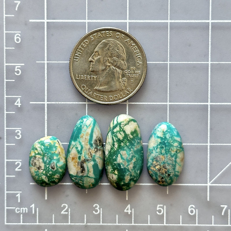 Medium Deep Green Mixed Fox Turquoise, Set of 4 Dimensions