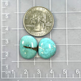 Medium Sky Blue Freeform Carico Lake Turquoise, Set of 2 Dimensions