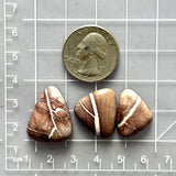 Medium Red Triangle White Buffalo Dolomite, Set of 3 Dimensions