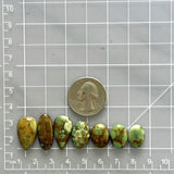 Medium Earth Brown Mixed Treasure Mountain Turquoise, Set of 7 Dimensions