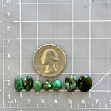 Small Mixed Mixed Crescent Lake Variscite, Set of 7 Dimensions
