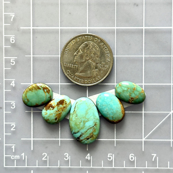 Small Mint Green Oval Tyrone Turquoise, Set of 5 Dimensions