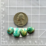 Small Sea Green Mixed Fox Turquoise, Set of 4 Dimensions