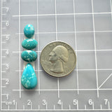 Small Sky Blue Mixed Fox Turquoise, Set of 4 Dimensions