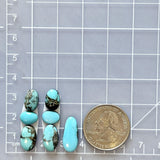 Small Sky Blue Freeform Mixed Turquoise, Set of 7 Dimensions