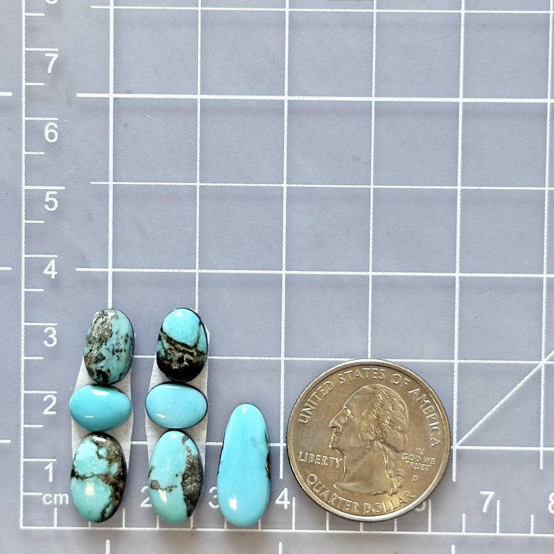 Small Sky Blue Freeform Mixed Turquoise, Set of 7 Dimensions