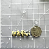 Small Light Yellow Mixed Treasure Mountain Turquoise, Set of 4 Dimensions