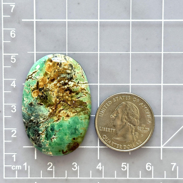 Large Sea Green Oval Crescent Lake Variscite Dimensions