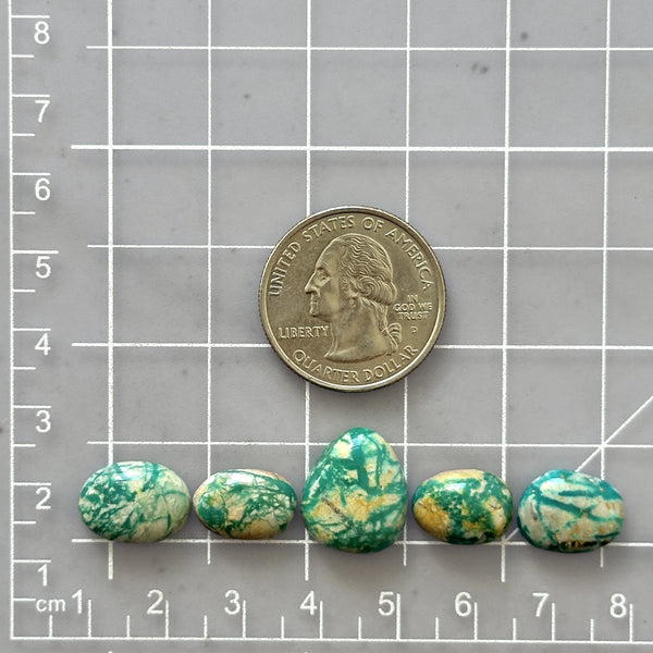 Small Deep Green Mixed Fox Turquoise, Set of 5 Dimensions