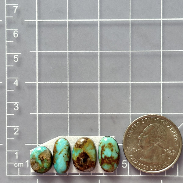 Small Mint Green Mixed Number 8 Turquoise, Set of 4 Dimensions