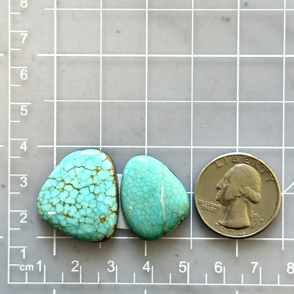 Large Sky Blue Freeform Number 8 Turquoise, Set of 2 Dimensions